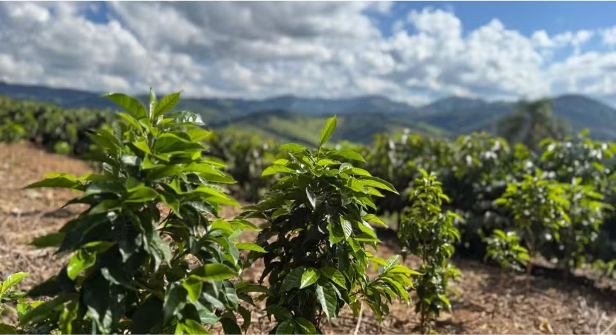 Foto: Arquivo pessoal