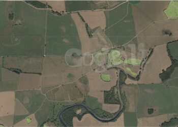 Google doa imagens de satélite de 2008 e transforma a regularização ambiental no campo brasileiro