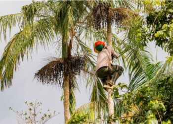Foto: Claudio Neves/Portos do Paraná