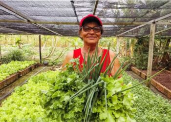 Soluções Baseadas na Natureza têm rosto feminino: estudo mapeia iniciativas lideradas por mulheres nos seis biomas brasileiros