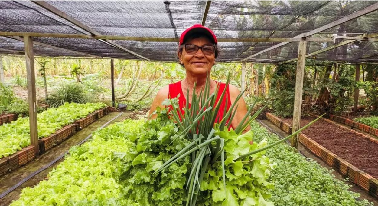 Soluções Baseadas na Natureza têm rosto feminino: estudo mapeia iniciativas lideradas por mulheres nos seis biomas brasileiros