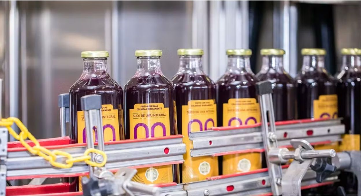 Suco de uva com açaí: a fórmula do Vale do São Francisco que mira R$ 210 milhões e o mercado asiático