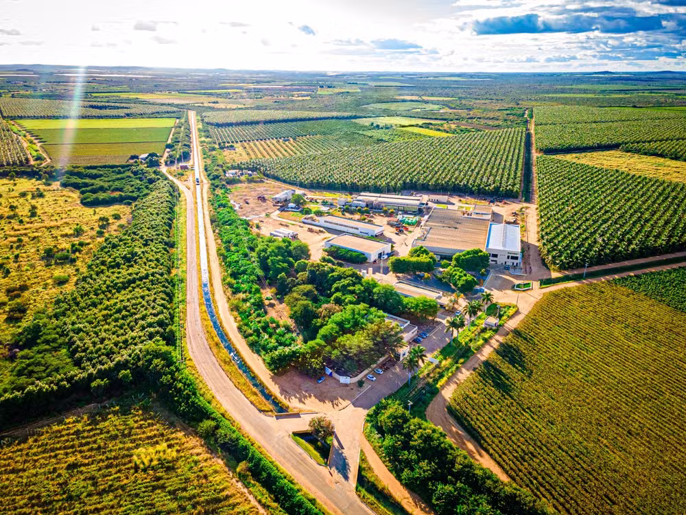 Suco de uva com açaí: a fórmula do Vale do São Francisco que mira R$ 210 milhões e o mercado asiático