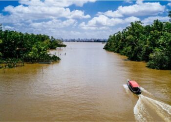 Amazônia além das commodities: como a bioeconomia está construindo valor onde antes só havia matéria-prima